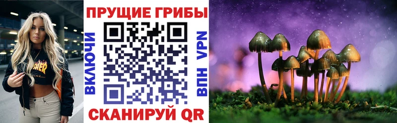 Купить закладки Артёмовск Галлюциногенные грибы Psilocybine cubensis